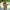 Hooded Poncho With Pockets (Elevate) -