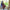 Hooded Poncho With Pockets (Elevate) -