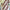Hooded Poncho With Pockets (Elevate) -