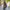 Hooded Poncho With Pockets (Elevate) -