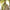 Hooded Poncho With Pockets (Elevate) -