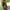 Hooded Poncho With Pockets (Elevate) -
