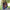 Hooded Poncho With Pockets (Elevate) -