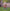 Poncho (Experience) -