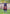Poncho (Experience) -