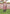 Poncho (Experience) -