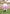 Poncho (Experience) -