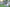 Poncho (Free Spirit) -