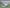 Poncho (Free Spirit) -