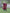 Poncho (Free Spirit) -