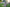 Poncho (Free Spirit) -