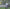 Poncho (Free Spirit) -