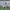 Poncho (Free Spirit) -