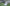Poncho (Free Spirit) -