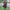 Poncho (Free Spirit) -