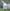 Poncho (Free Spirit) -
