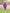 Poncho With Hood (Elevate) -