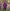 Poncho With Hood (Elevate) -