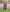 Poncho With Hood (Experience) -