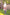 Poncho With Hood (Experience) -