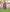 Poncho With Hood (Experience) -