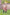 Poncho With Hood (Experience) -