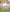 Poncho With Hood (Experience) -