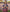 Poncho With Hood (Experience) -