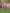 Poncho With Hood (Experience) -