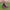 Poncho With Hood (Experience) -