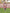 Poncho With Hood (Experience) -