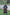 Poncho With Hood (Free Spirit) -