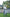 Poncho With Hood (Free Spirit) -