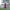 Poncho With Hood (Free Spirit) -