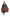 Poncho With Hood (Free Spirit) -